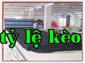 Công ty may mặc Tân Hoa Duệ Nham Trung